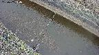 area10-20250402114036.jpg