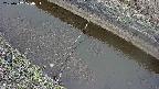 area10-20250402120036.jpg