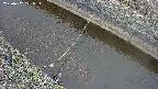 area10-20250402121035.jpg