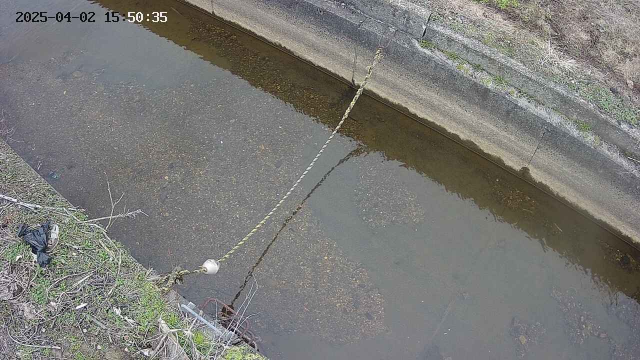 area10-20250402155037.jpg