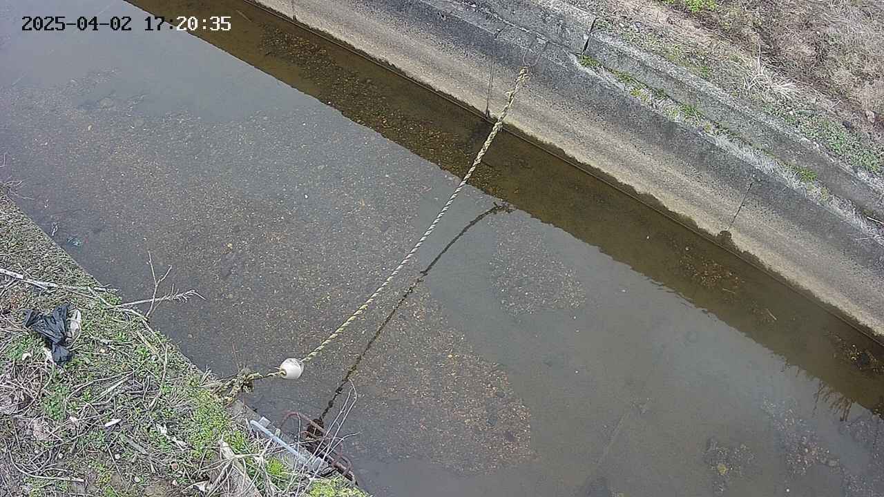 area10-20250402172036.jpg