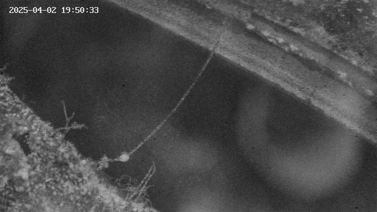 area10-20250402195035.jpg