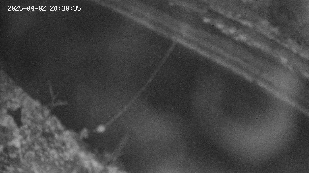 area10-20250402203037.jpg
