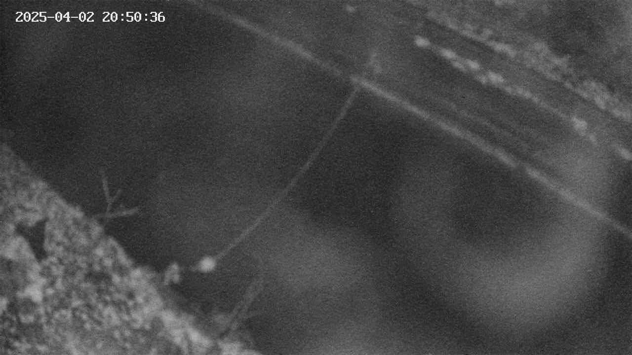 area10-20250402205037.jpg