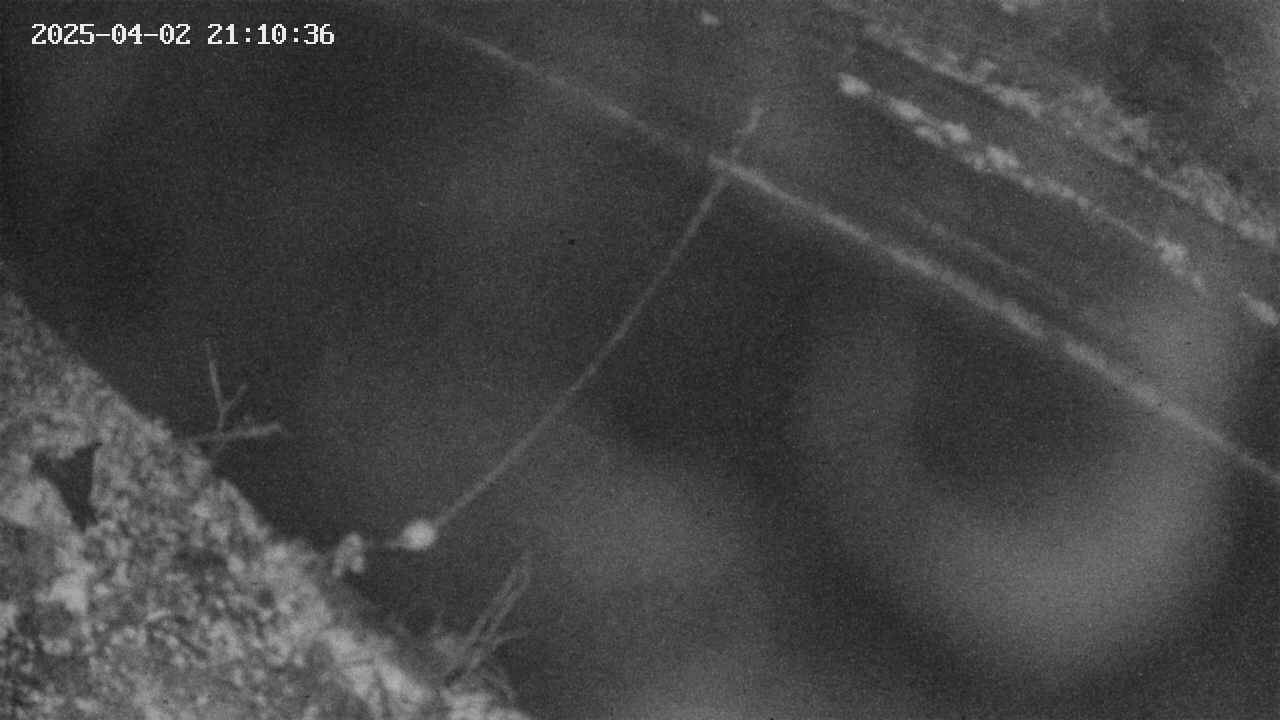 area10-20250402211038.jpg