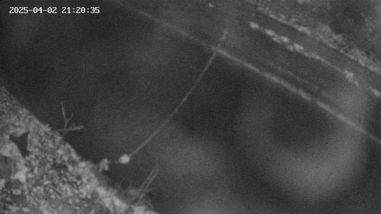 area10-20250402212037.jpg
