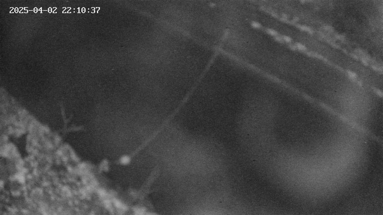 area10-20250402221039.jpg