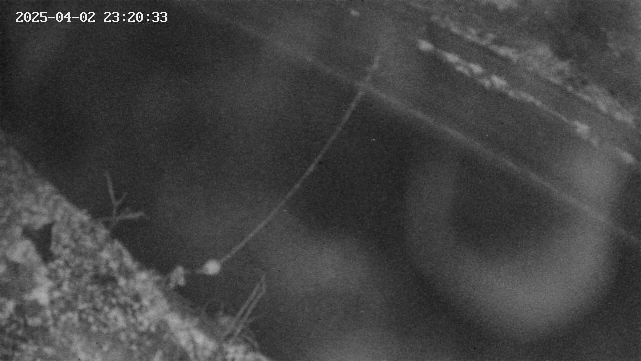 area10-20250402232035.jpg