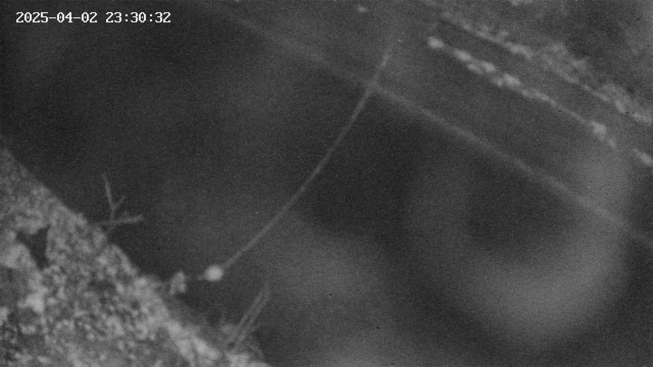 area10-20250402233033.jpg