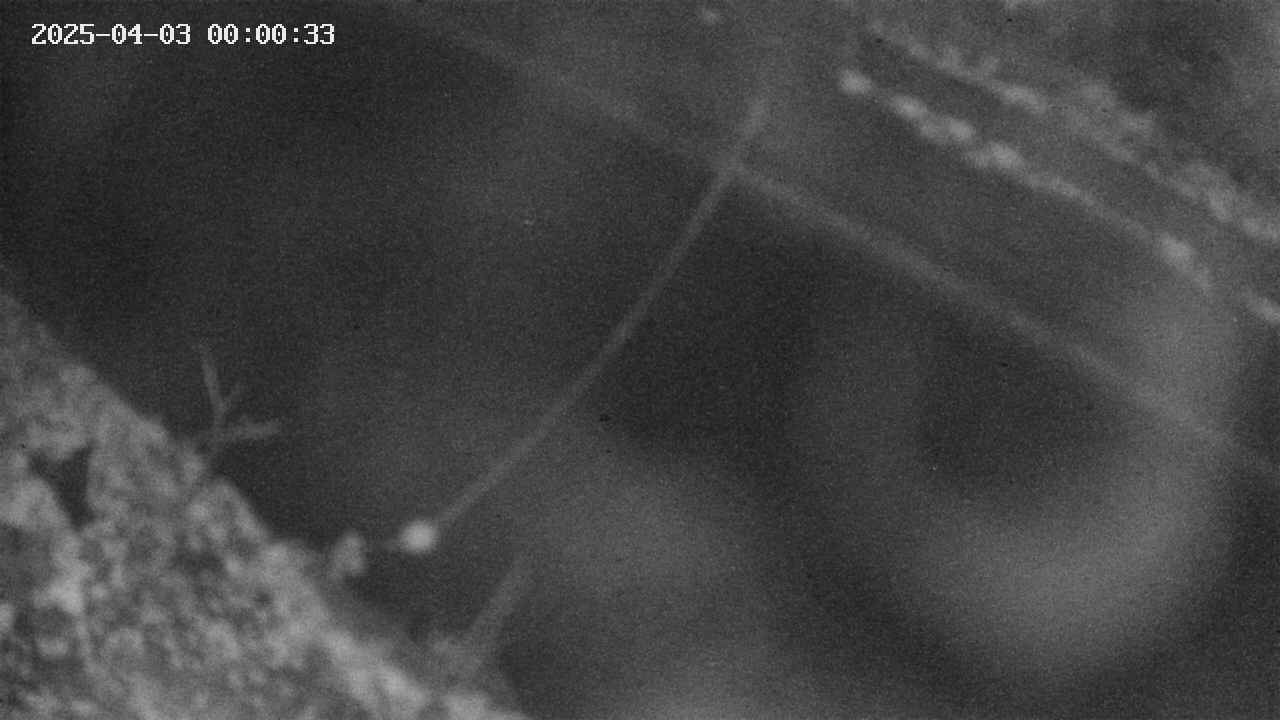 area10-20250403000035.jpg