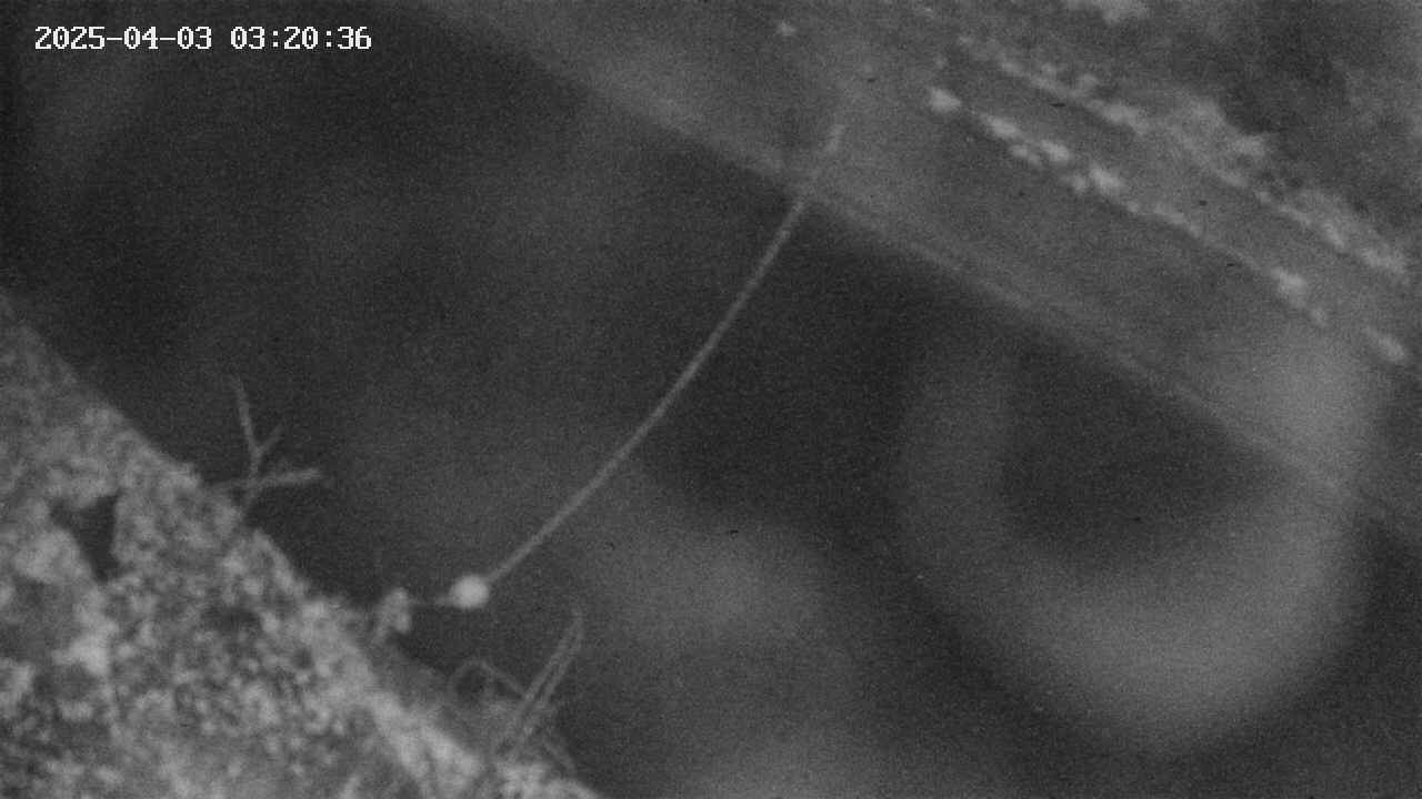 area10-20250403032036.jpg