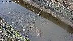 area10-20250403054035.jpg