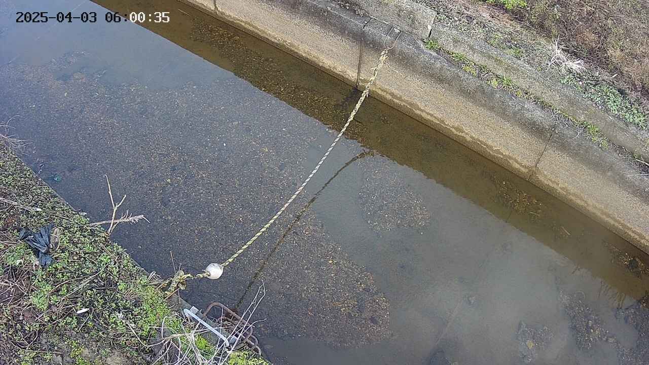 area10-20250403060036.jpg