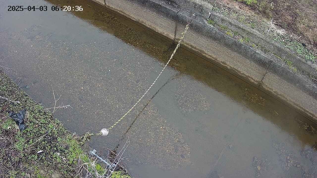 area10-20250403062037.jpg
