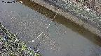 area10-20250403062037.jpg