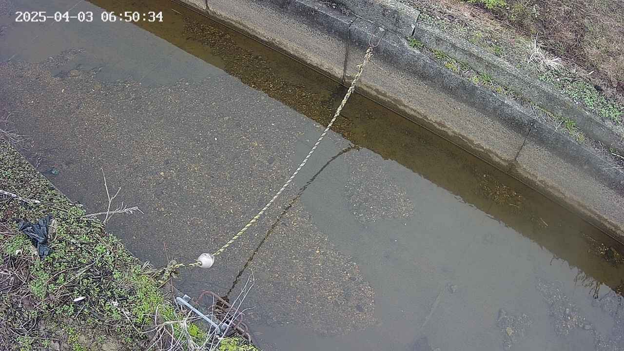 area10-20250403065035.jpg