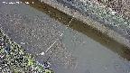 area10-20250403065035.jpg