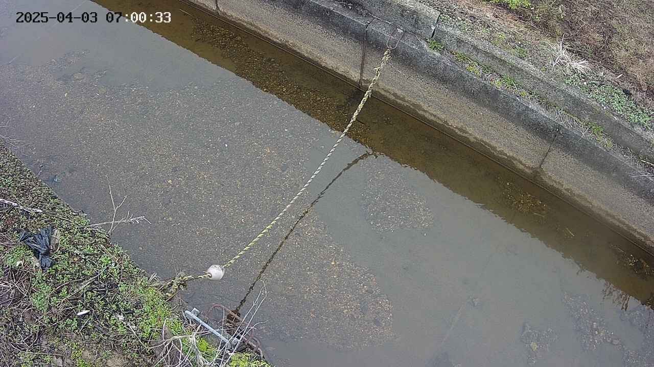 area10-20250403070034.jpg