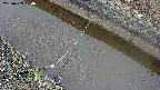 area10-20250403070034.jpg