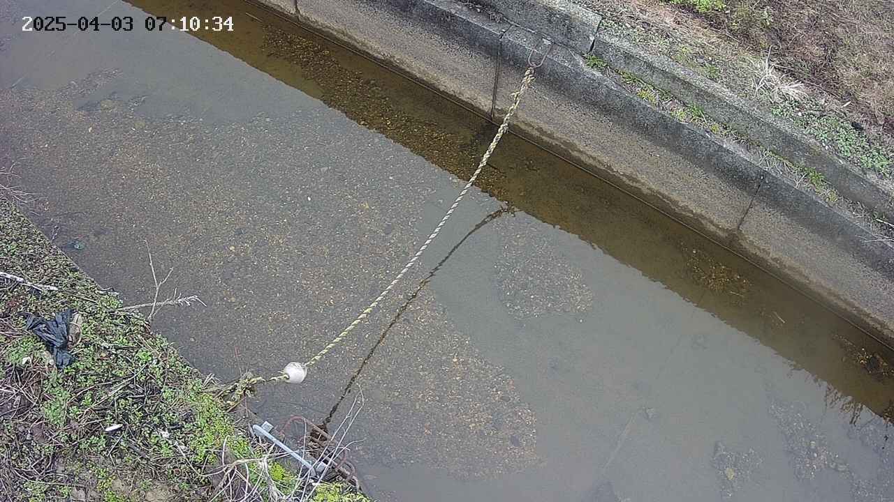 area10-20250403071035.jpg