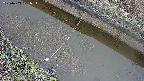 area10-20250403071035.jpg