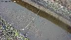 area10-20250403073035.jpg