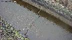 area10-20250403074036.jpg