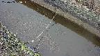 area10-20250403075035.jpg