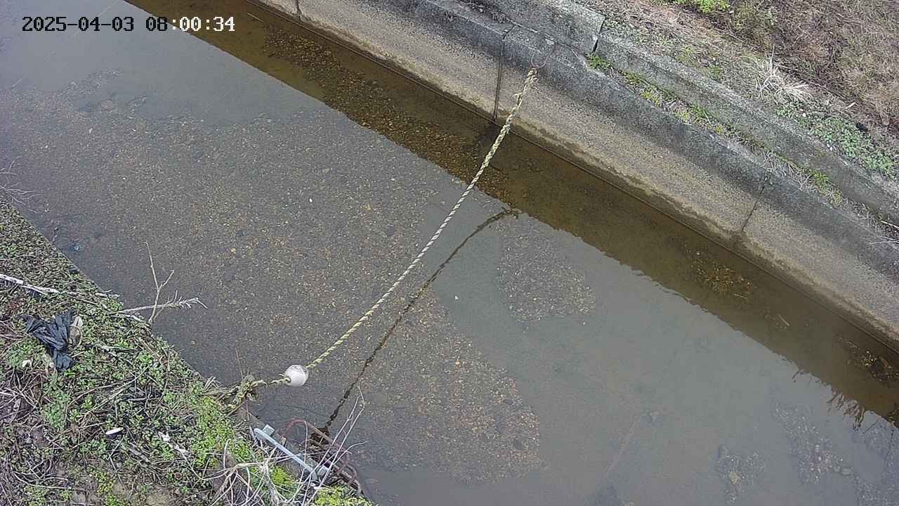 area10-20250403080035.jpg