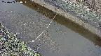 area10-20250403080035.jpg