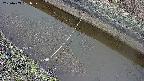 area10-20250403081038.jpg