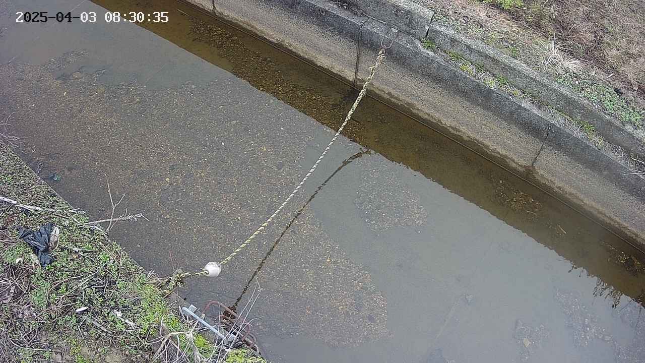 area10-20250403083036.jpg