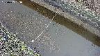 area10-20250403083036.jpg