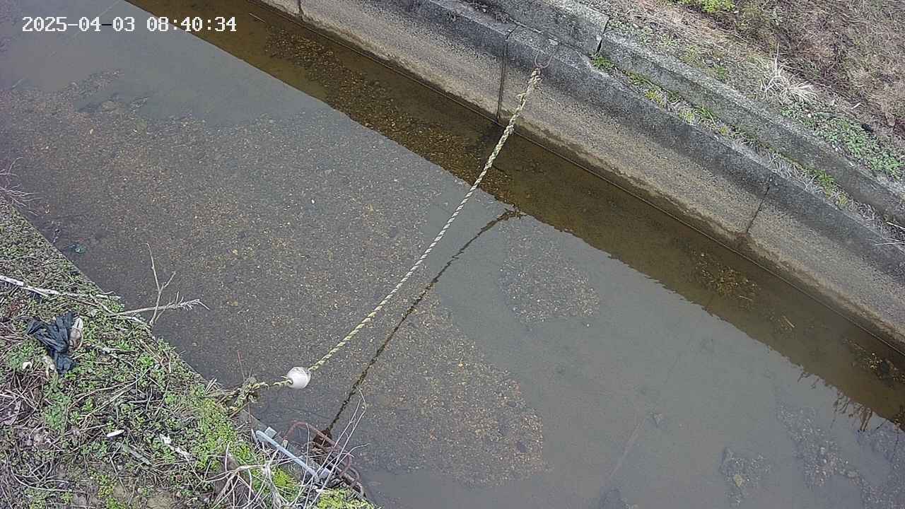 area10-20250403084034.jpg