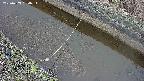 area10-20250403084034.jpg