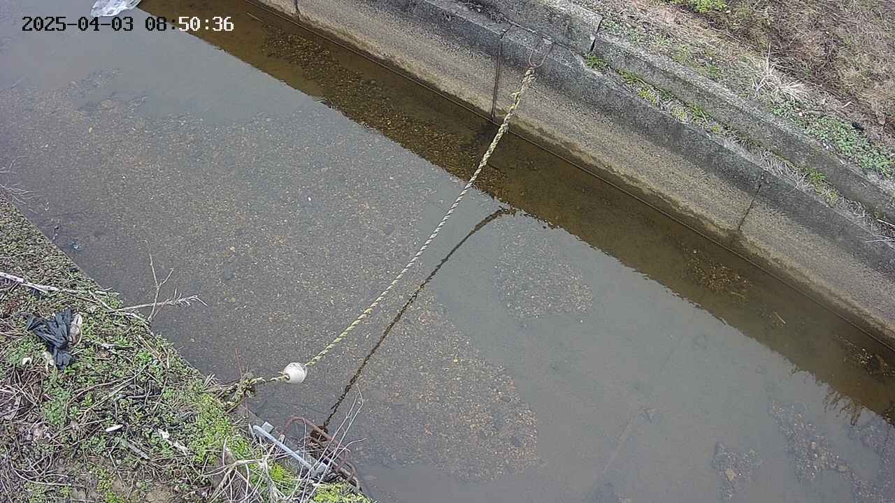 area10-20250403085036.jpg