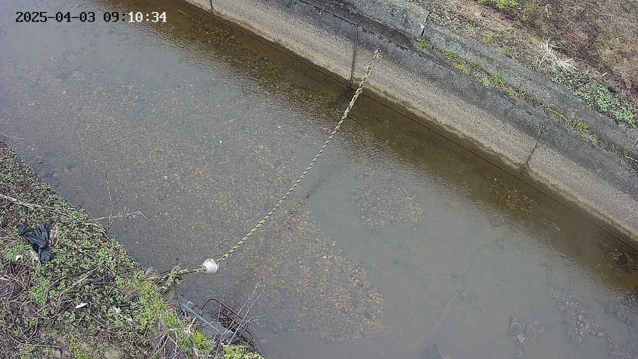 area10-20250403091035.jpg