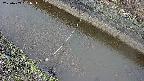 area10-20250403091035.jpg