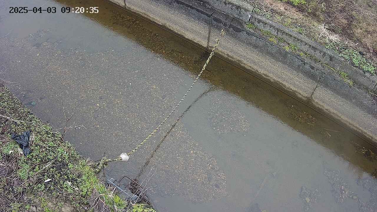 area10-20250403092036.jpg
