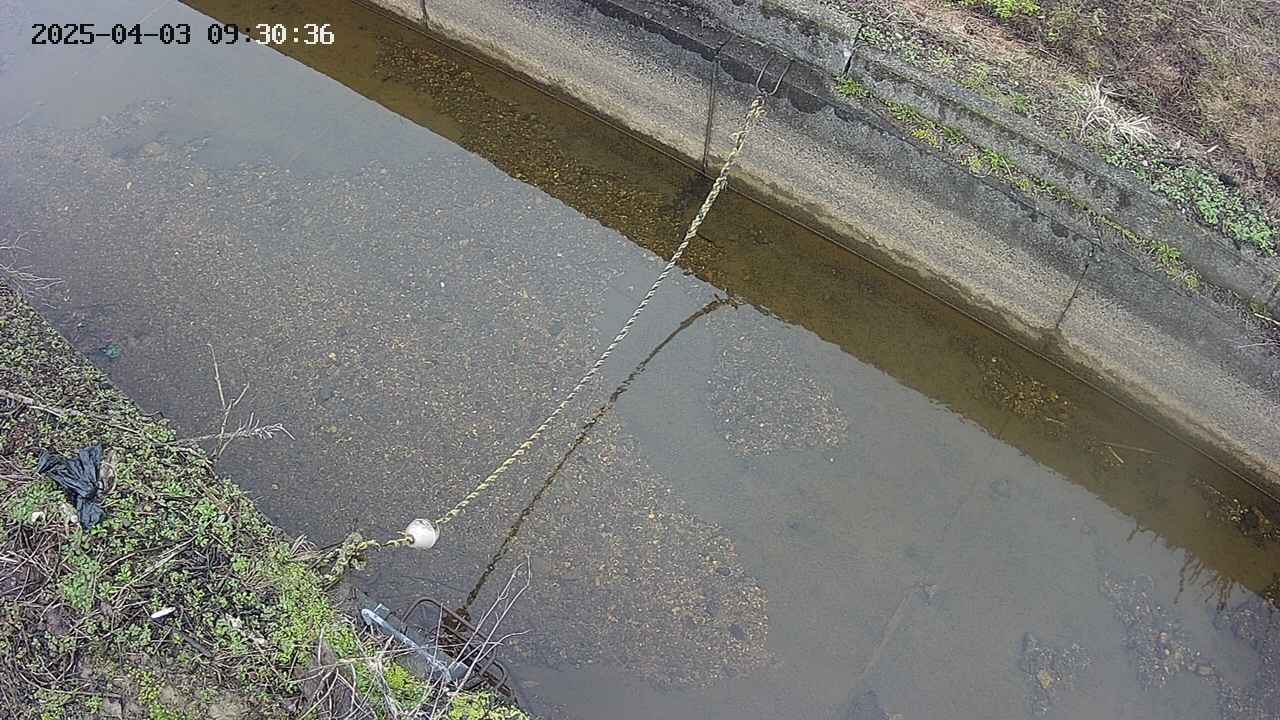 area10-20250403093037.jpg