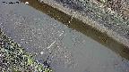area10-20250403094036.jpg