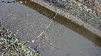 area10-20250403095035.jpg