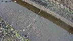 area10-20250403103037.jpg