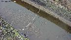 area10-20250403104034.jpg