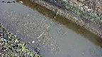 area10-20250403112036.jpg