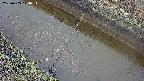 area10-20250403114035.jpg