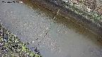 area10-20250403115034.jpg