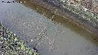 area10-20250403120036.jpg