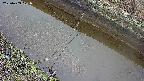 area10-20250403121036.jpg