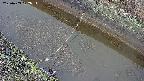 area10-20250403122036.jpg